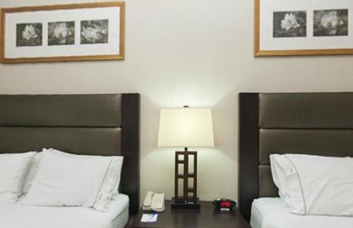 Holiday Inn Express Hotel & Suites Ottawa Airport By Ihg Room photo